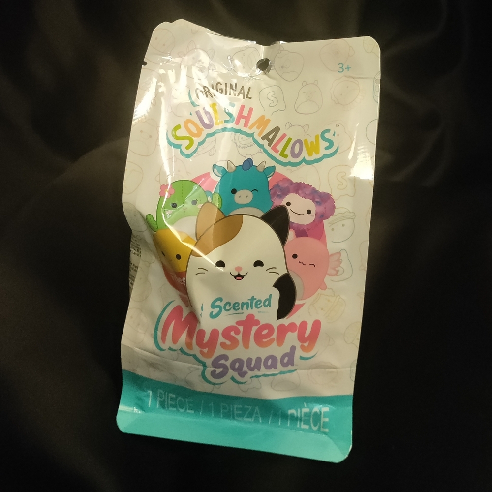 5" Scented Mystery Squad Squishmallow Blind Bag